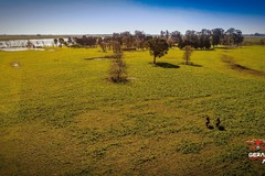 Dronero: EN LA PAMPA Y PARA TODO EL CENTRO DEL PAIS