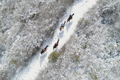 Dronero: Drone En Bariloche y Patagonia. Piloto Matriculado. Dron FPV